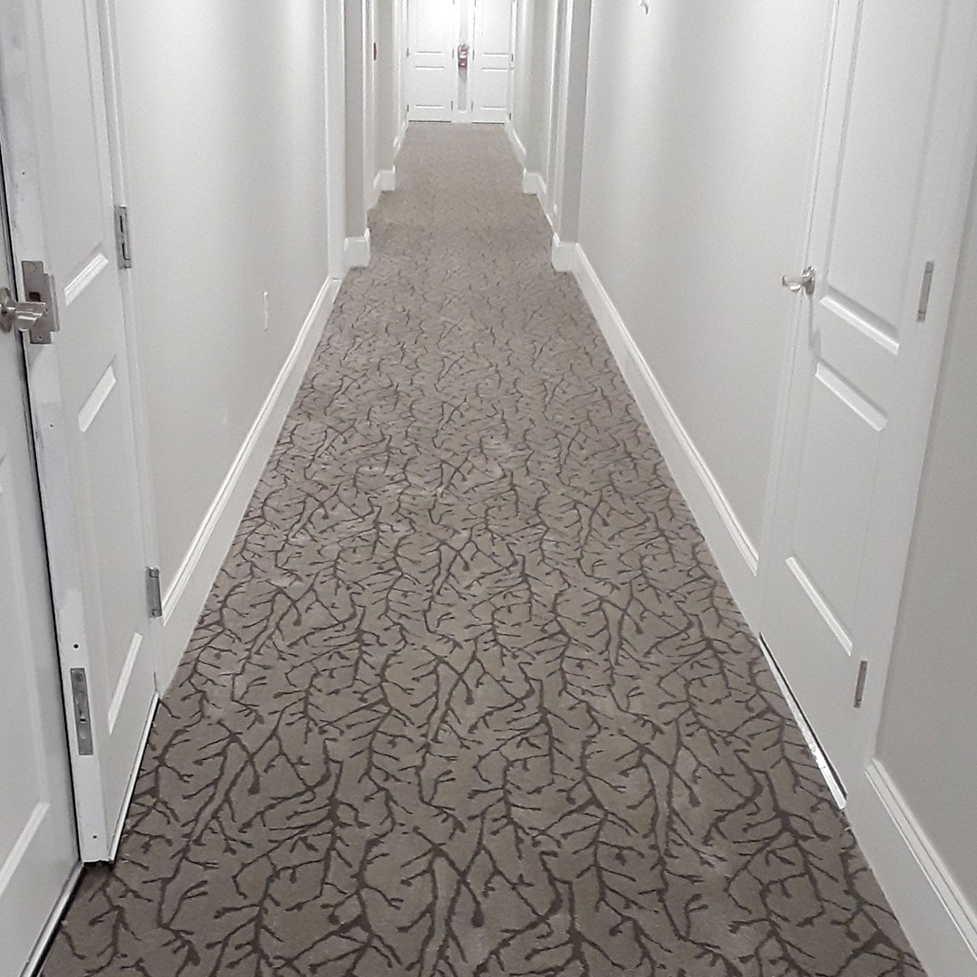 Higher Providence - 3