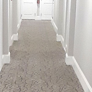 Higher Providence - thumb 31