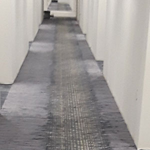 Higher Providence - thumb 41