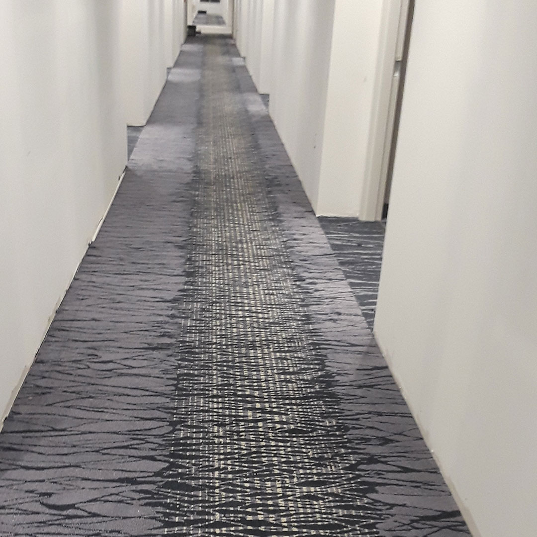 Higher Providence - 4