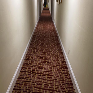 Higher Providence - thumb 51